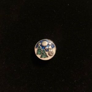 Winter Pandora Charm